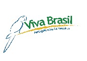 Português para Estrangeiros - Escola Viva Brasil
