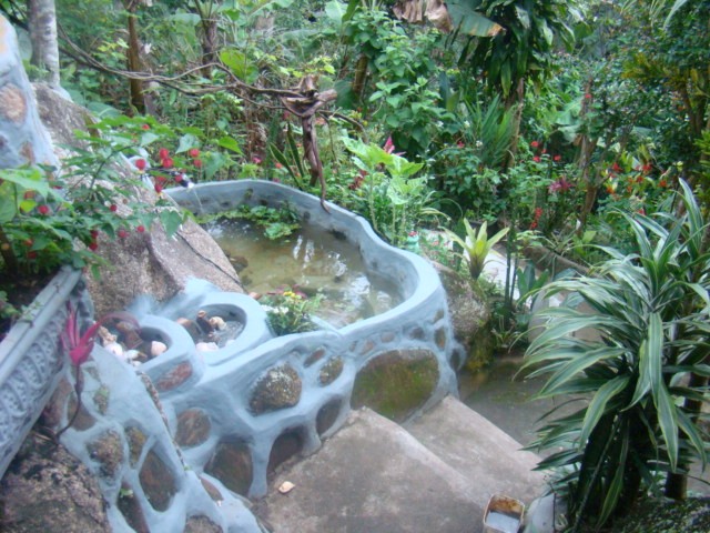 Foto 1 - Manutenao de jardim, Paisagismo, plantio de mudas
